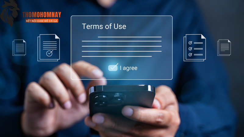 Điều Khoản & Điều Kiện Sử Dụng 2 Đội ngũ Thomodagahomnay bảo lưu các quyền quan trọng