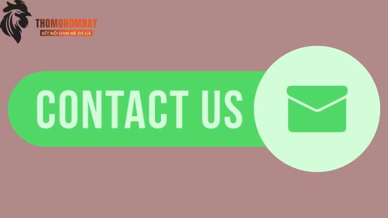 Liên Hệ 1 Hãy liên hệ ngay với Thomodagahomnay khi cần nhé